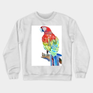 Macaw Watercolor Painting Rainbow Parrot Crewneck Sweatshirt